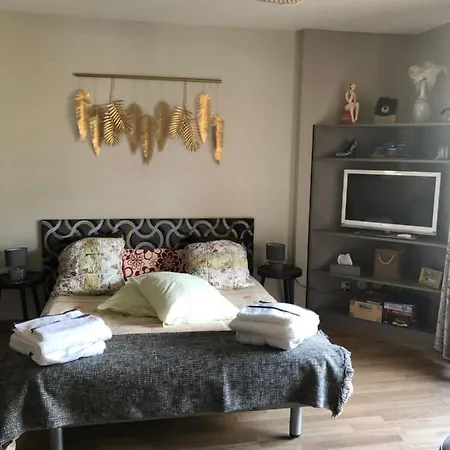 Apartament En Hyper Centre Tout Confort